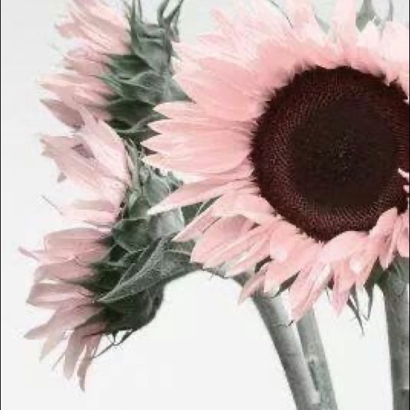 Southern Girl 🌻 Gypsy Soul 💃🏼 Rocker Chic 🎸 - Picture 8 of 11